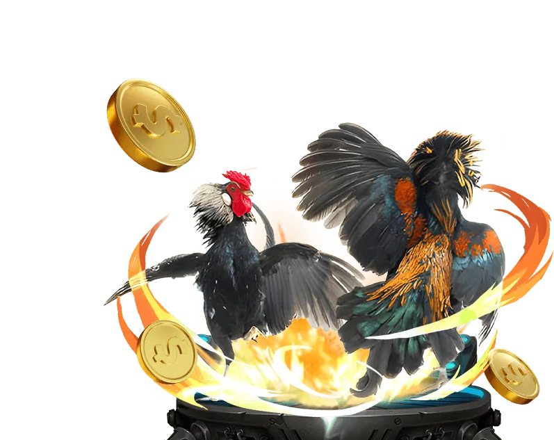 Giới thiệu thương hiệu 7clubs